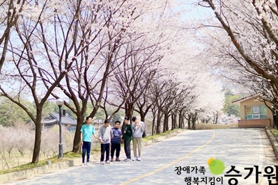 벚꽃 나무가 양쪽으로 놓여있는 가로수길 차도 한컨에 서서 5명의 장애가족이 서 있는 모습. 오른쪽 아래 장애가족 행복지킴이 승가원CI