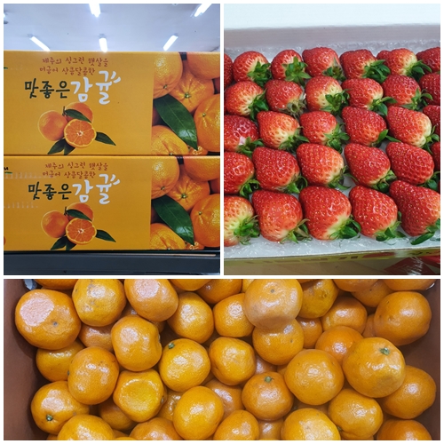 후원물품(귤, 딸기)